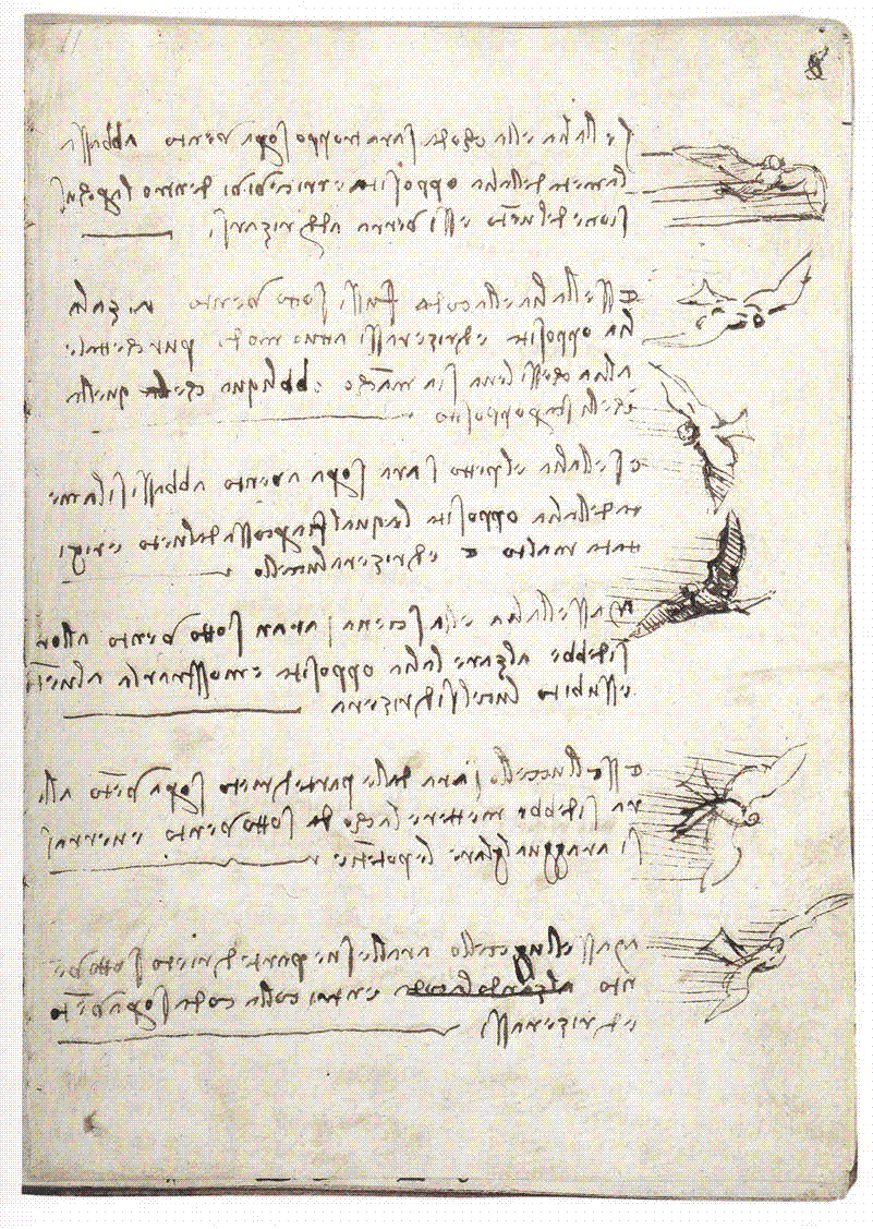 A folio from Leonardo da Vinci's Codex on the Flight of Birds, with mirror-script notes and sketches analysing birds in flight