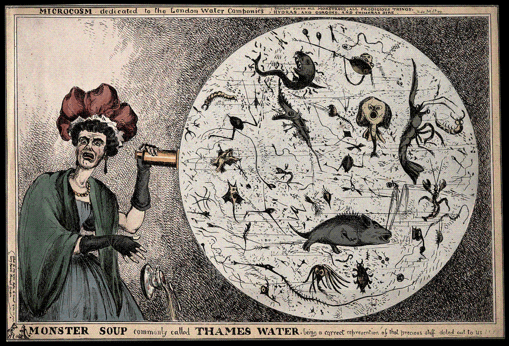 Coloured etching of a woman dropping her teacup in horror as she views grotesque creatures in a magnified drop of Thames water