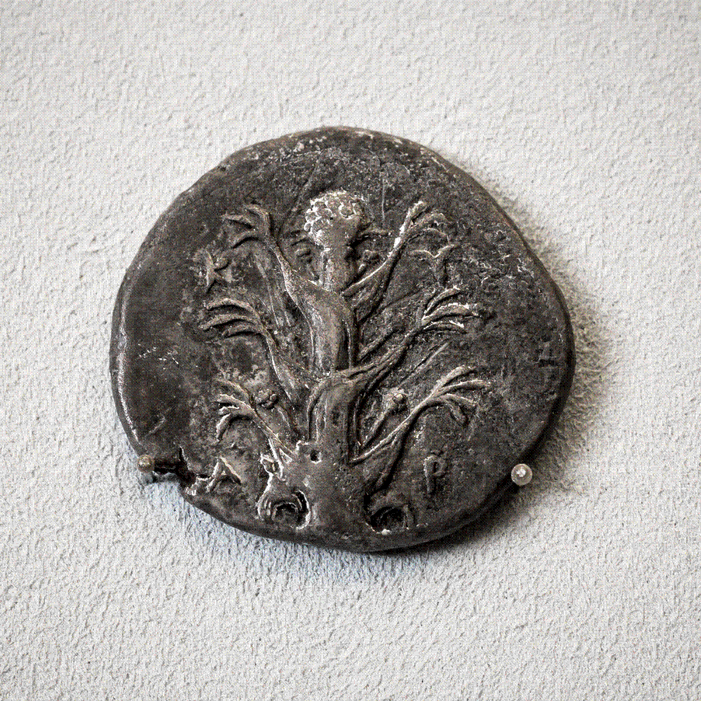Silver tetradrachm of Kyrene, c. 435-330 BC, showing the silphium plant on the obverse and the head of Zeus Ammon on the reverse; Berlin Münzkabinett