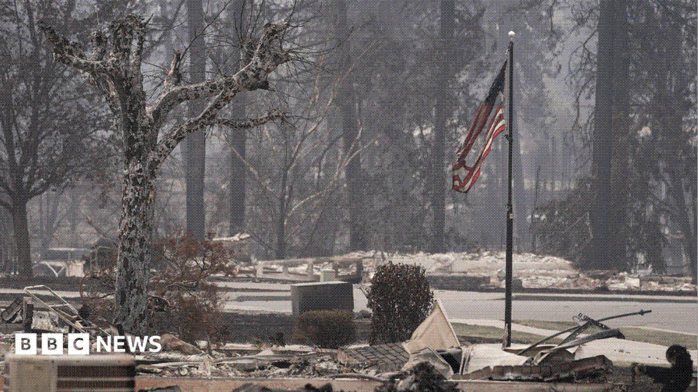 Burnt-out homes and scorched vehicles on a residential street in Spokane after wildfire swept through the neighbourhood.