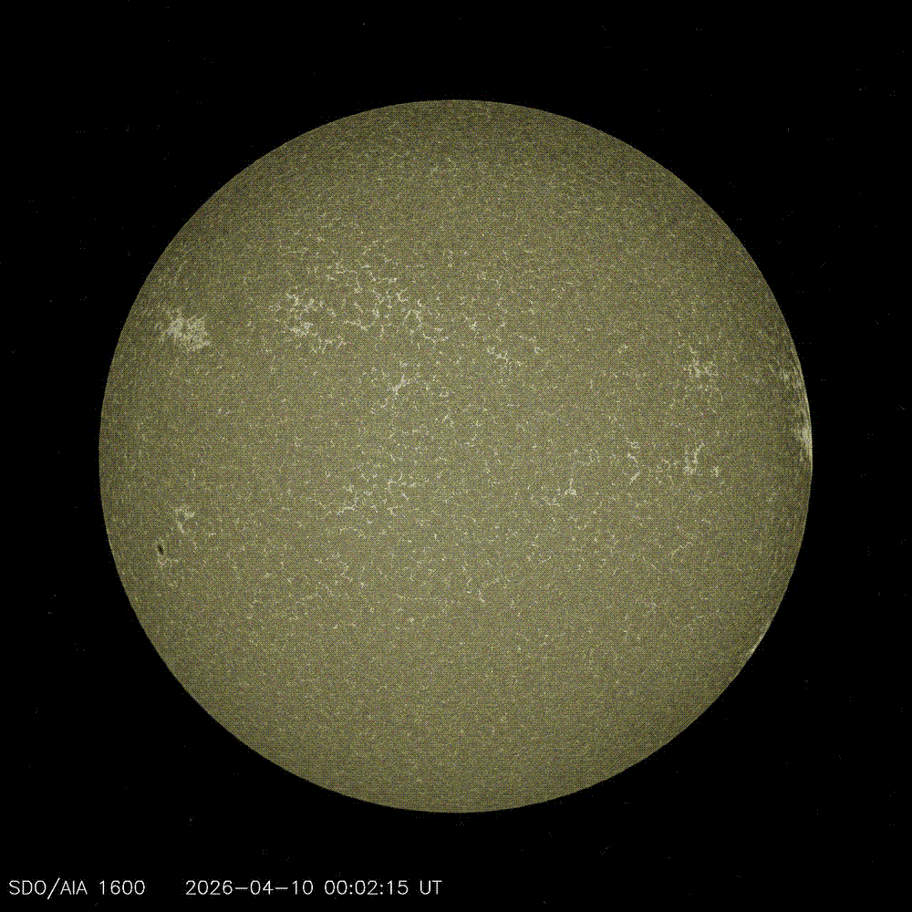 The Sun imaged in extreme ultraviolet by NASA's Solar Dynamics Observatory, its surface roiling with bright active regions