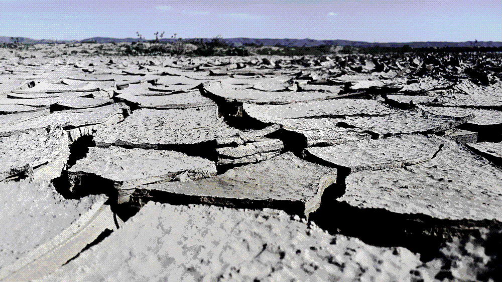 Sun-baked, cracked and fissured dry mud of a drought-stricken reservoir bed under a bright sky.